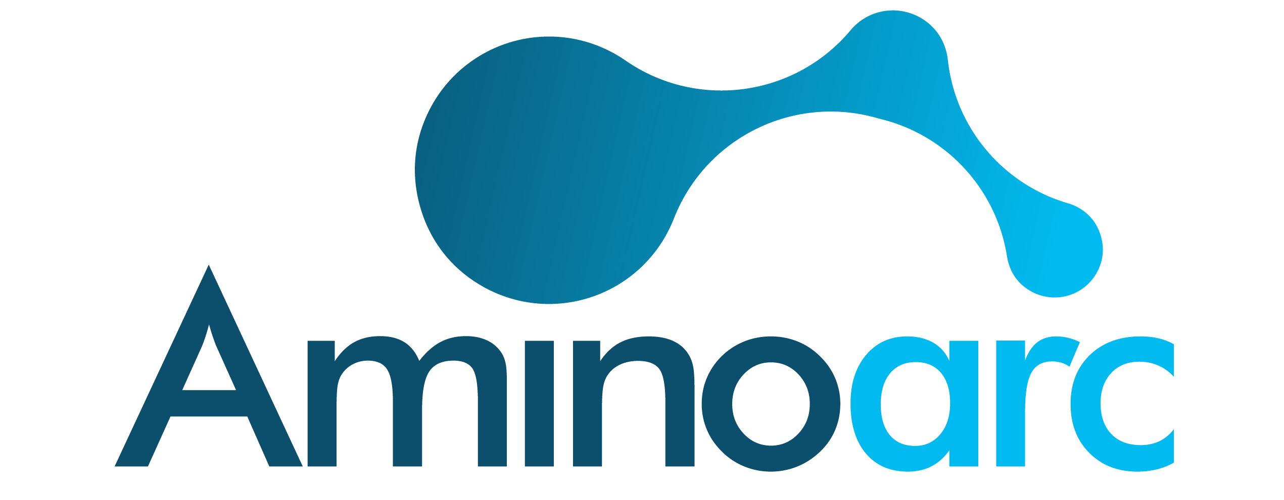 Aminoarc